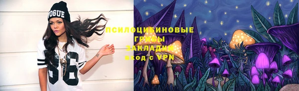 метадон Богданович