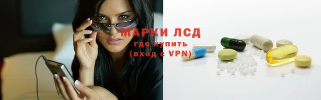 метадон Богданович