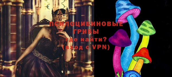 бошки Богородицк