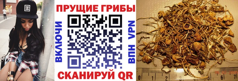 Псилоцибиновые грибы мухоморы  ссылка на мегу сайт  Городовиковск  сколько стоит 