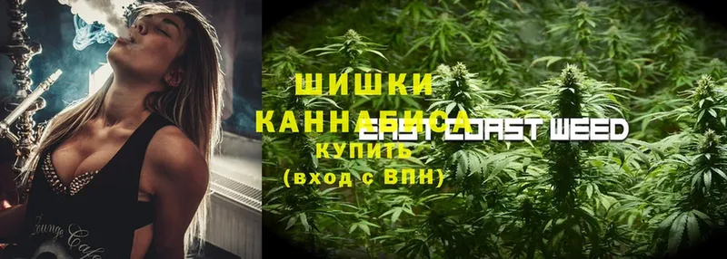 МАРИХУАНА THC 21%  Городовиковск 